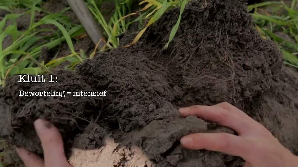 Bodemscan:  instructie bodembeoordelen