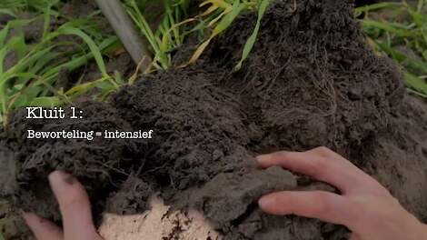 Bodemscan:  instructie bodembeoordelen