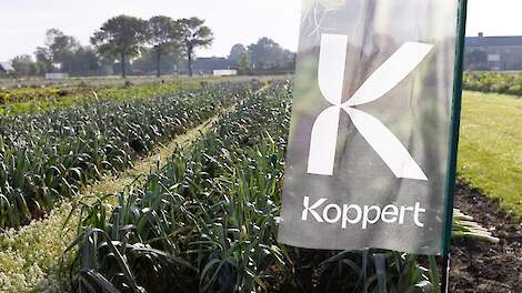 Koppert presenteert biologische gewasbeschermingsoplossingen op Potato Europe en Bejo Open Dagen 2025
