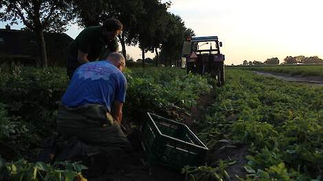 ‘Bedrijfsvoering aanpassen aan bodemsoort’