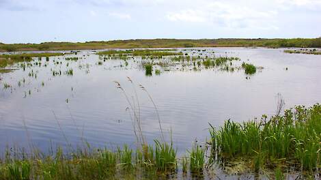Noord-Hollands waterschap stopt met metingen dinoterb na labfouten; middel niet in water aangetroffen