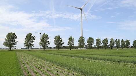 Ruim tien miljoen voor Deens-Nederlands onderzoek naar robots en mengteelten