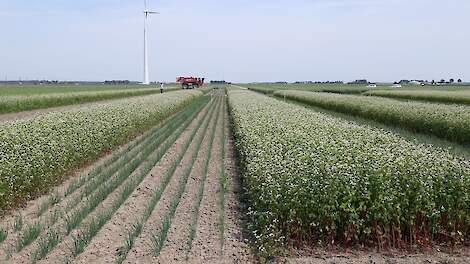 Voortzetting Boerderij van de Toekomst op losse schroeven