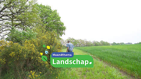 7 miljoen euro subsidie voor aanleg landschapselementen