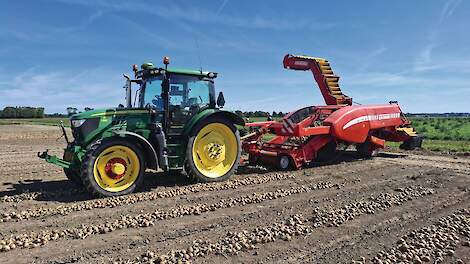 Fotoserie: Rooiers halen bovengemiddelde opbrengst van het uienland