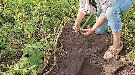 ‘Voor bestaansrecht in dit gebied zelf kansen creëren’