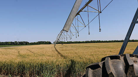 Hongaarse akkerbouwers vrezen de toenemende hitte