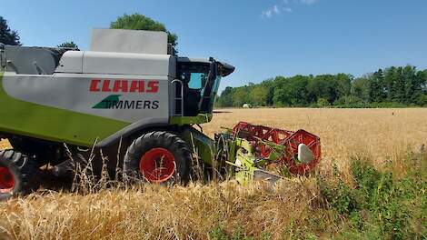 Graanprijzen wederom in de min, Nederlandse noteringen -4 euro