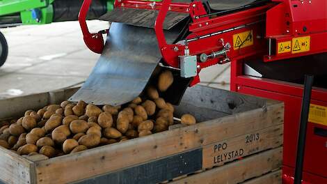 'Wees alert op zachtrot tijdens aardappeloogst'