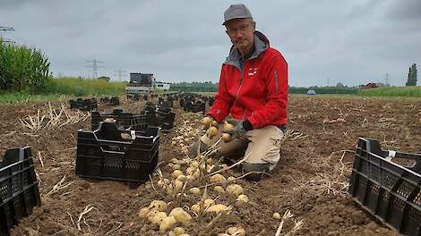 Vermenging bij genetische modificatie? ‘De echte discussie moet nog beginnen’