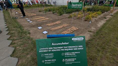 Fotoserie: Innovaties in aardappelbewaring: van kiemrust tot energiemanagement