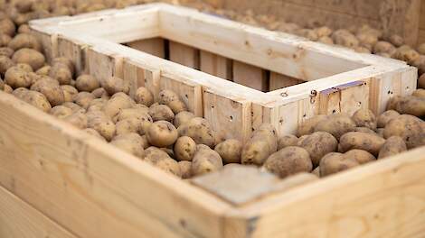 Gebrek aan handel: PotatoNL schrapt aardappelnotering voor tweede week op rij