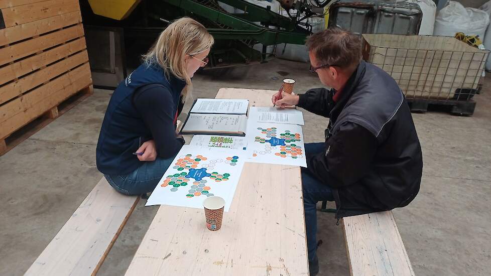 De belangrijkste ziekten/plagen voor lelies zijn in kaart gebracht, waaronder Plantago-mozaïekvirus (PlAMV), botrytis en fusarium. Met het oog op ziekten passen lelies goed in het bouwplan, is de conclusie. Het gewas is vrijwel niet gevoelig voor ziekten