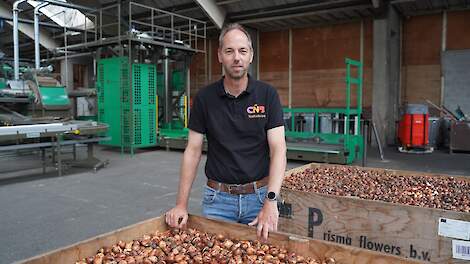 Niet wegkijken bij tulpengalmijt, maar alle mogelijkheden aangrijpen om besmettingen in de kiem te smoren