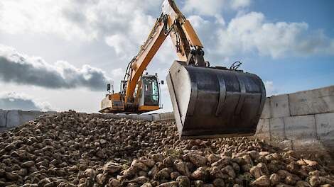 Cosun: Hoog suikergehalte en laag tarrapercentage bij start campagne