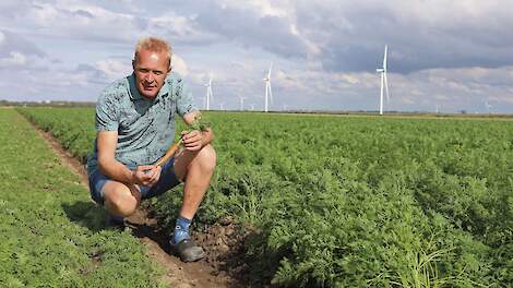 Mosselman werkt regeneratief biologisch: ‘Dit is wat ik elke boer gun’