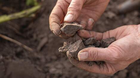 Topbodembijeenkomst in Drenthe: Bodem sterker maken tegen droogte en uitspoeling