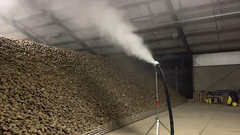 Bewaring en behandeling van consumptie-aardappelen