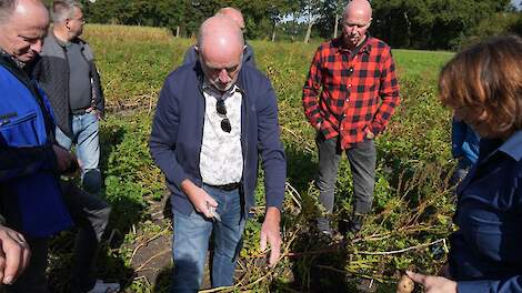 Geert Elzes: 'Pluspunten groenbemesters voor nutriëntenkringloop gebruiken'