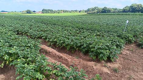 Hoedemakers zet in op verhogen weerbaarheid vertrouwde Fontane