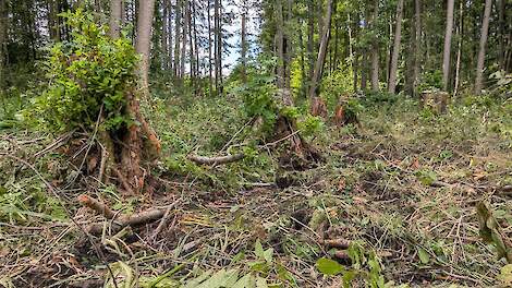 Column: Provinciaal natuurplan tast kwetsbare natuur aan