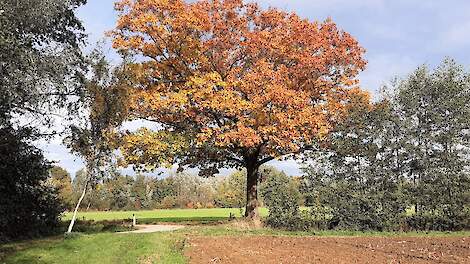 LTO kritisch op Nota Ruimte: 'Landbouw mag geen sluitpost zijn'