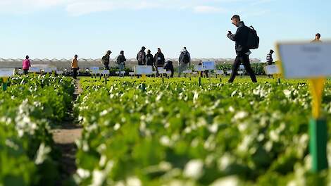 Video: Internationaal publiek trekt naar Seed Valley: ‘Nederland is Champions League-niveau’