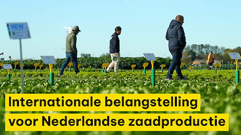 Internationale belangstelling voor Nederlandse zaadproductie