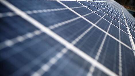 ZLTO: 'Zonnepark Budel komt op eerste klas landbouwgrond, dat kan toch niet?'