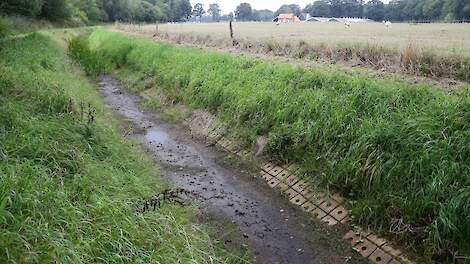 PBL: Nieuw kabinet moet snel kiezen over koers landbouw