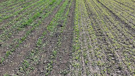 Op de grenzen van het vertrouwde Veenkoloniale bouwplan