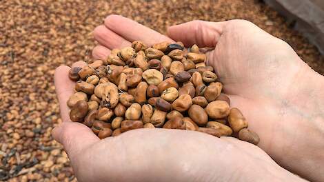 Vervolg Bean Deal gaat niet langs route van diervoeding