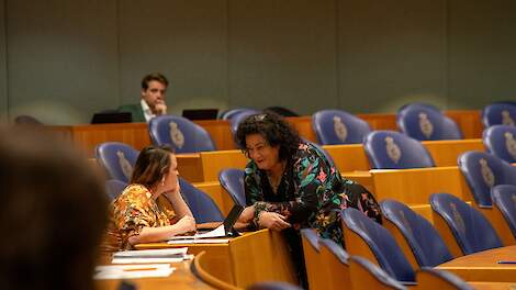 Column: BBB worstelde in een democratisch moeras