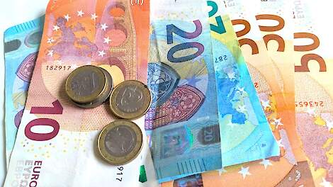 Streekproductenwinkel Rechtstreex vraagt faillissement aan