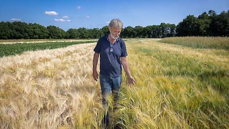 Stroken voor een gezond landschap
