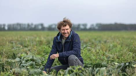 Mulch en bladbemesting voor een gezonde bodem en weerbaar gewas