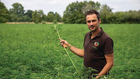 Stikstofuitspoeling op biobedrijven: Bodemleven blijkt een centrale rol te spelen