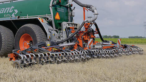 Bemestingsverbod na hoofdteelt?