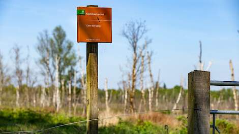 Handhavingsverzoeken voor aardappelteelt binnen kilometer van Groote Peel