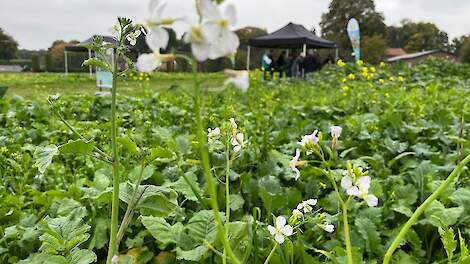 Fotoserie: De bodem leeft: van humustheorie tot praktijk