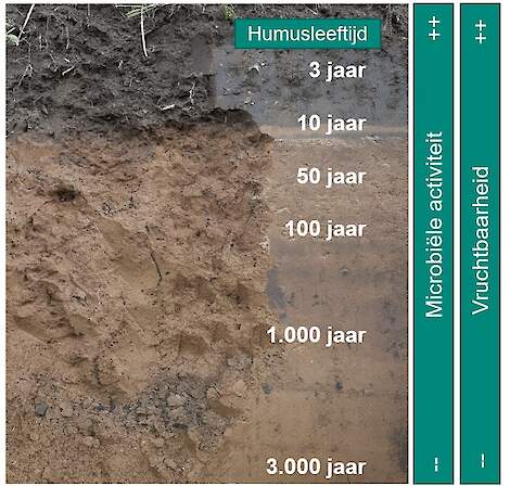 Voor de landbouwpraktijk is vooral de vruchtbaarheid van de bovengrond of bouwvoor belangrijk