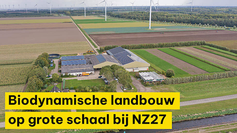 Biodynamische landbouw op grote schaal bij NZ27 in Zeewolde