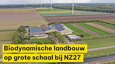 Biodynamische landbouw op grote schaal bij NZ27 in Zeewolde