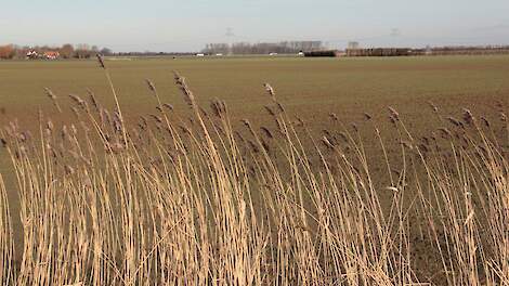 Opinie: Zo kijkt de BLHB aan tegen nieuw pachtbeleid