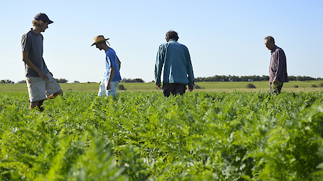 Maatschap De Koeijer: stap voor stap naar een biologisch akkerbouwbedrijf