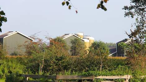 Column: PBL-rapport dwingt tot veel meer keuzes