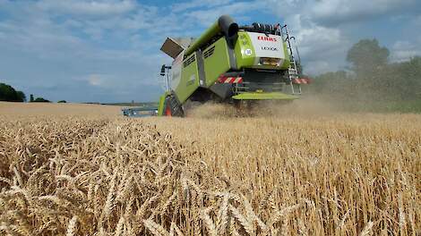 Mondiale graanprijzen in de min, Nederlandse plussen tot 6 euro