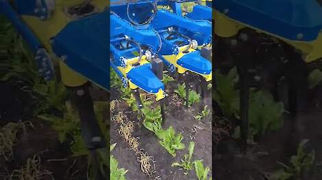 Camera gestuurde schoffel Veenkolonien