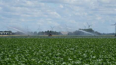 ‘Vocht is een van de belangrijkste productiviteitsdrijvers voor de akkerbouw’