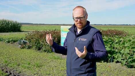 Boerderij van de Toekomst - Veenkolonien